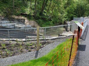 Balch Creek Project